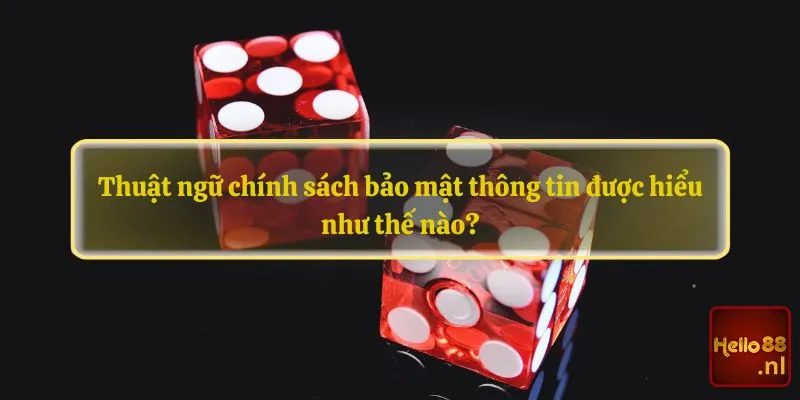 Thuật ngữ chính sách bảo mật thông tin được hiểu như thế nào?